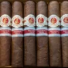 La Flor de Cano Casanova Cigar