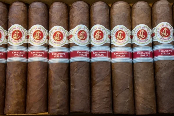 La Flor de Cano Casanova Cigar