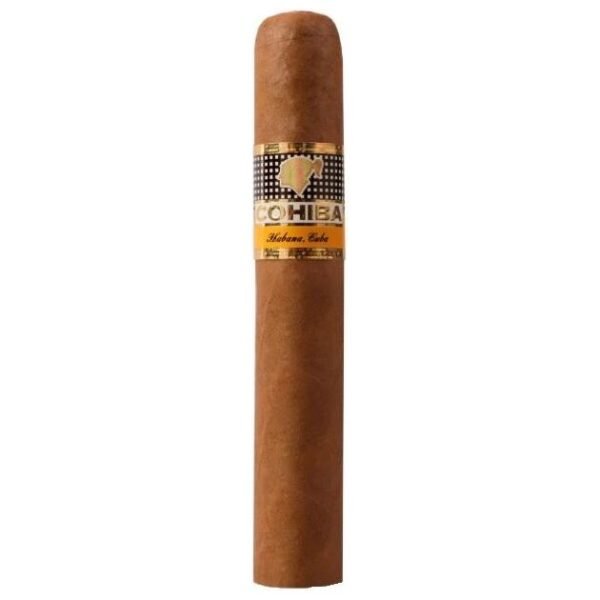 Cohiba robustos